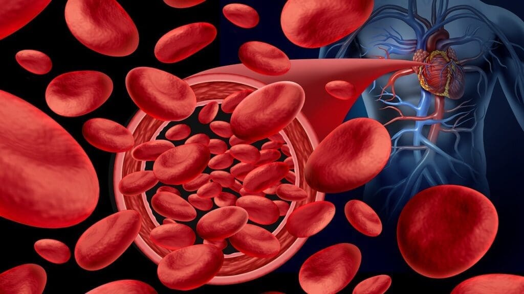 Role and Characteristics of Blood