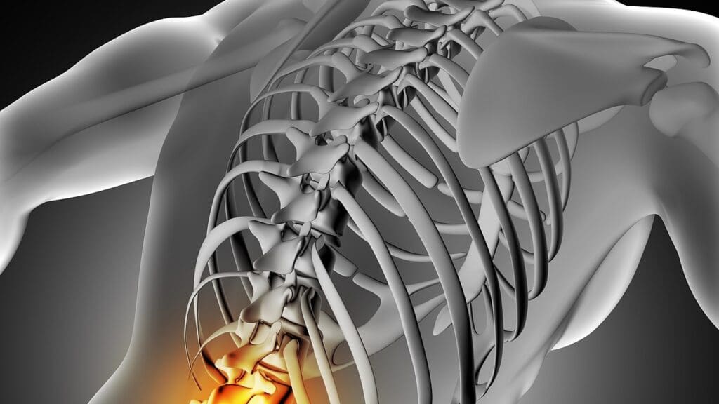 T12 Spinal Cord Injury