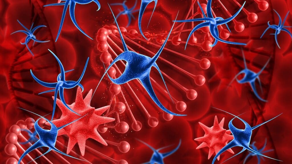 The Foundation of Blood Cell Production