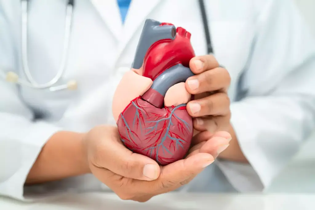 The Physiology Behind Atrial Flutter