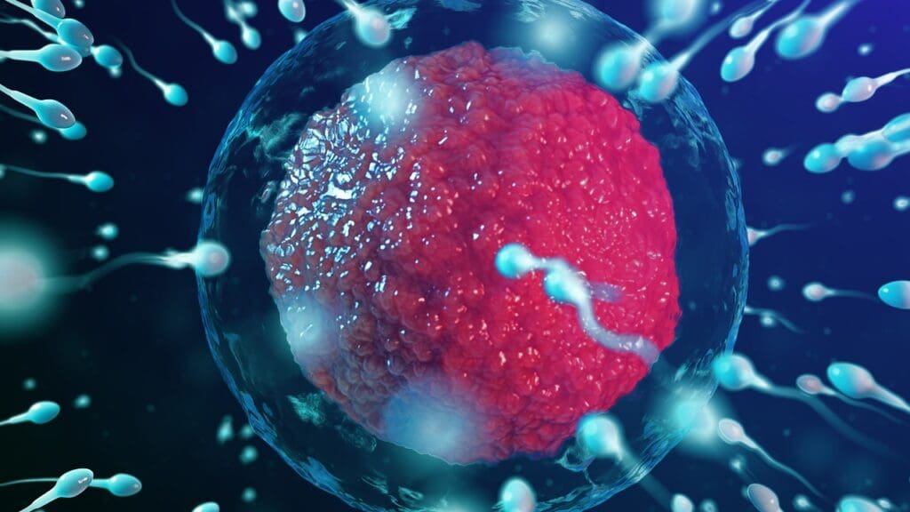 The Science Behind Blood Cell Production