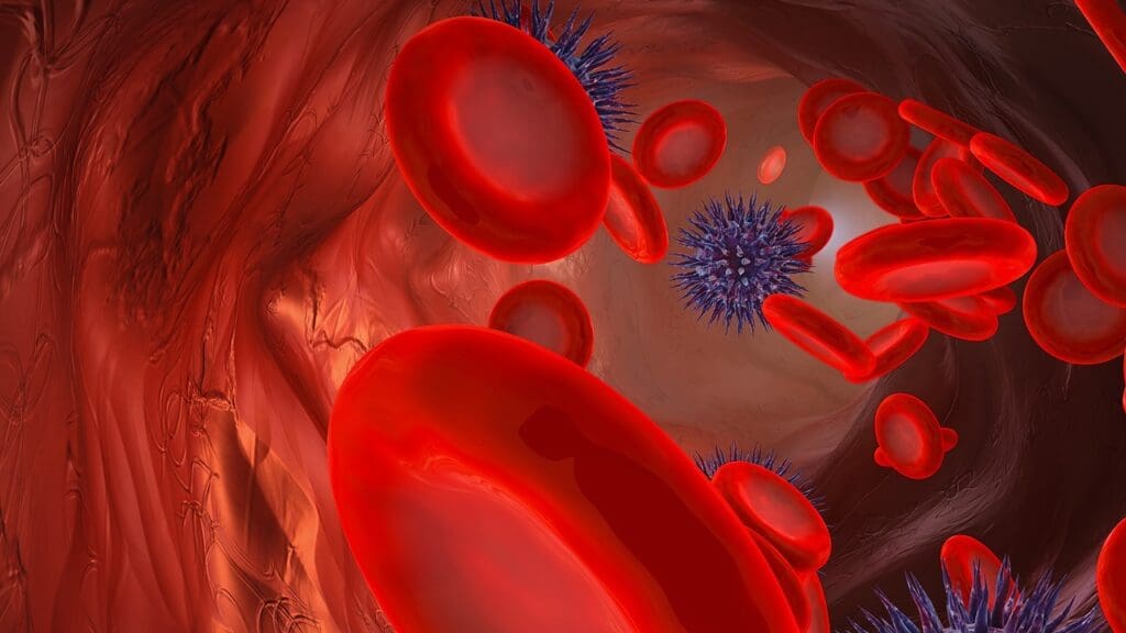 The Science Behind Blood Formation