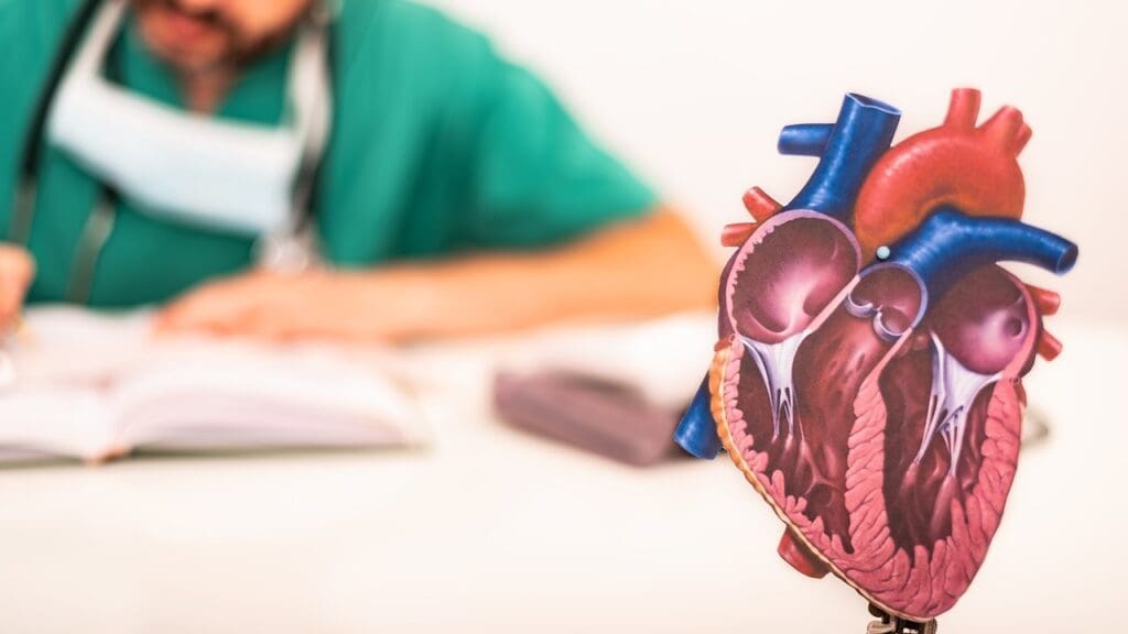 Understanding Leaky Heart Valves