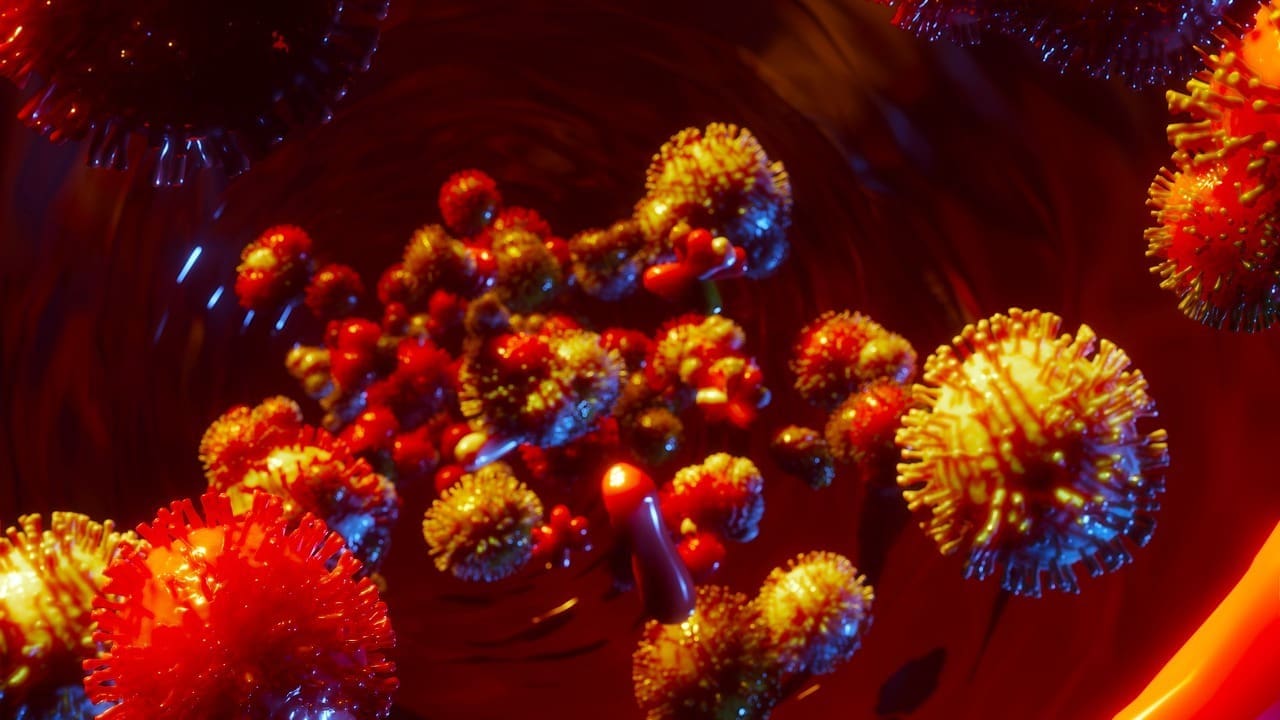 What Is Hematopoietic Cell Lineage