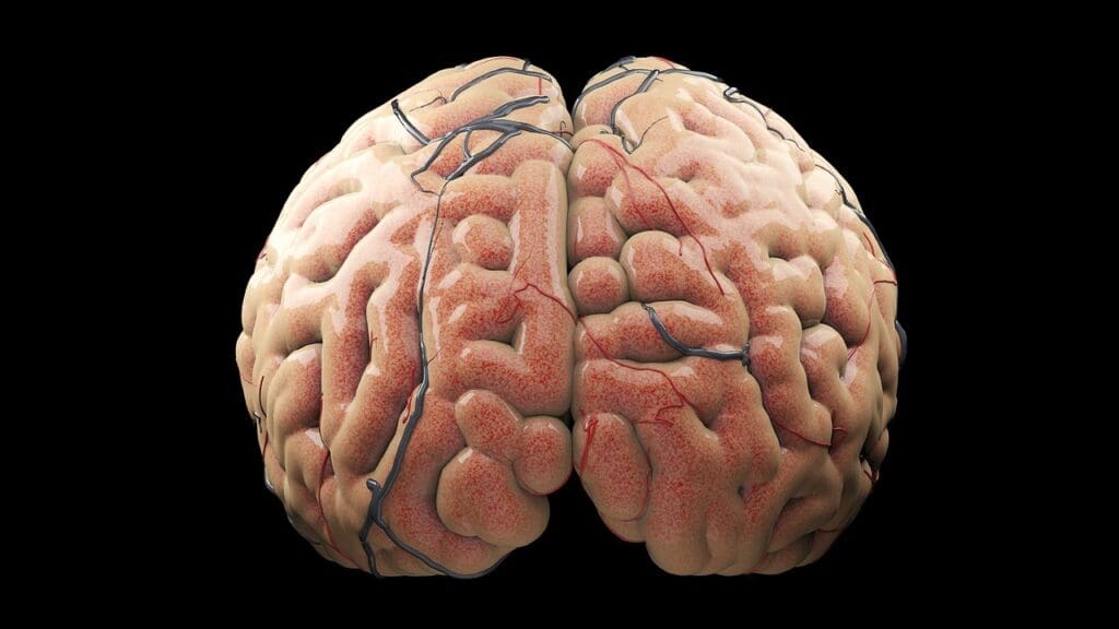 What Is a Mass on Brain Stem in Adults