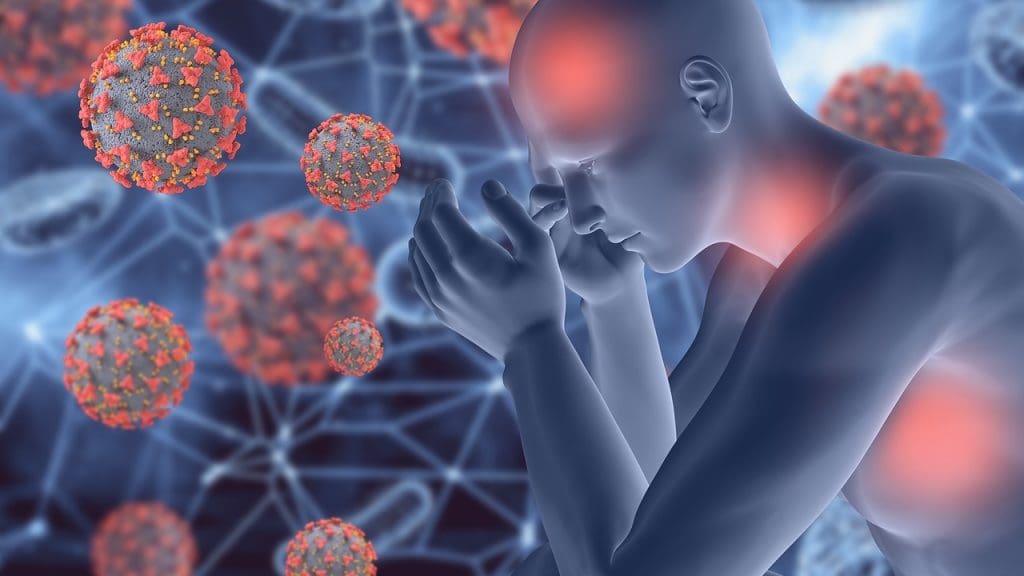 What is Graft vs Host Disease