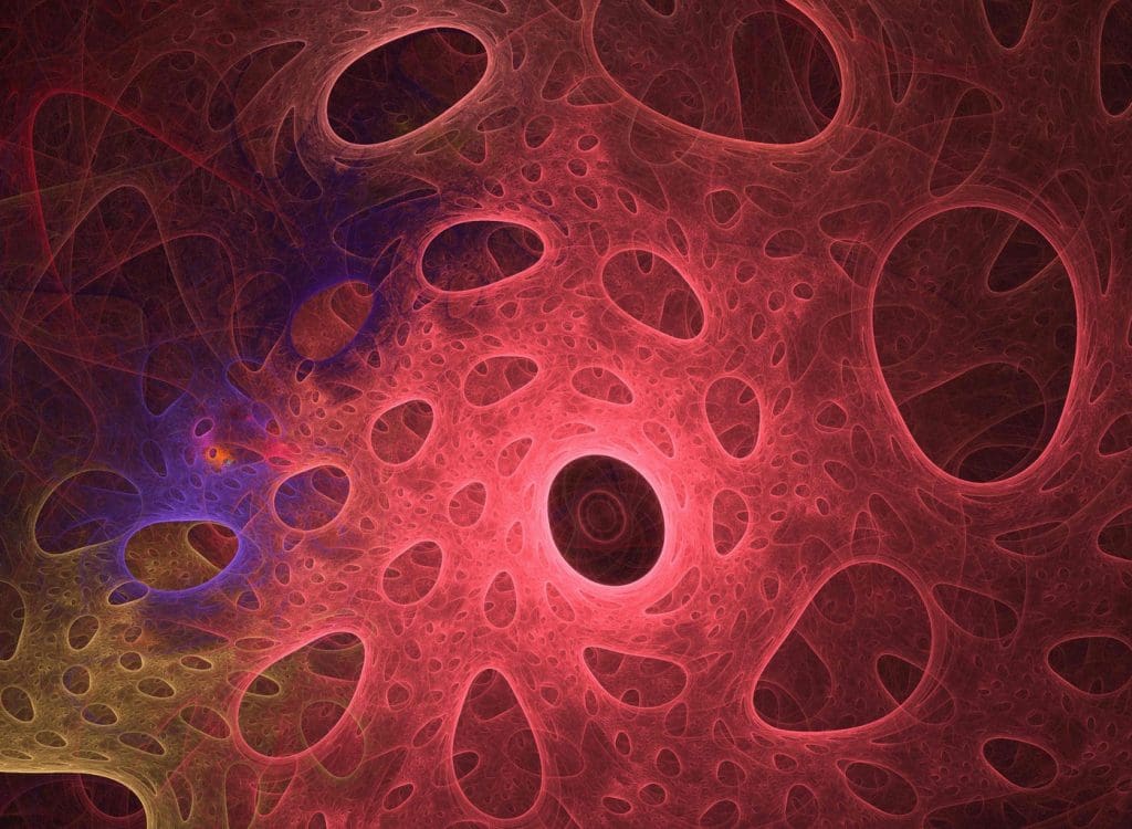 a clear, scientific illustration of human cells, with a subtle gradient highlighting their intricate structures