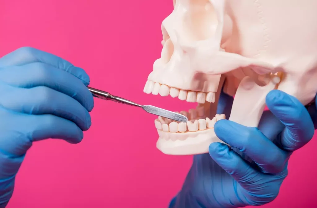 a highly detailed, anatomically accurate 3D render of a human lower jawbone undergoing a dental bone grafting procedure. the jawbone is depicted in a sectional view, exposing the internal structure and the surgical implantation of a bone graft material. the scene is lit with a warm, soft light from the side, casting subtle shadows that accentuate the intricate bony details. the camera is positioned at a slight angle, providing a clear and informative view of the grafting process. the overall mood is educational and clinical, conveying the technical nature of the dental procedure.