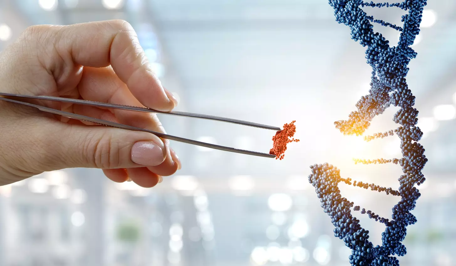 allogeneic stem cell therapy