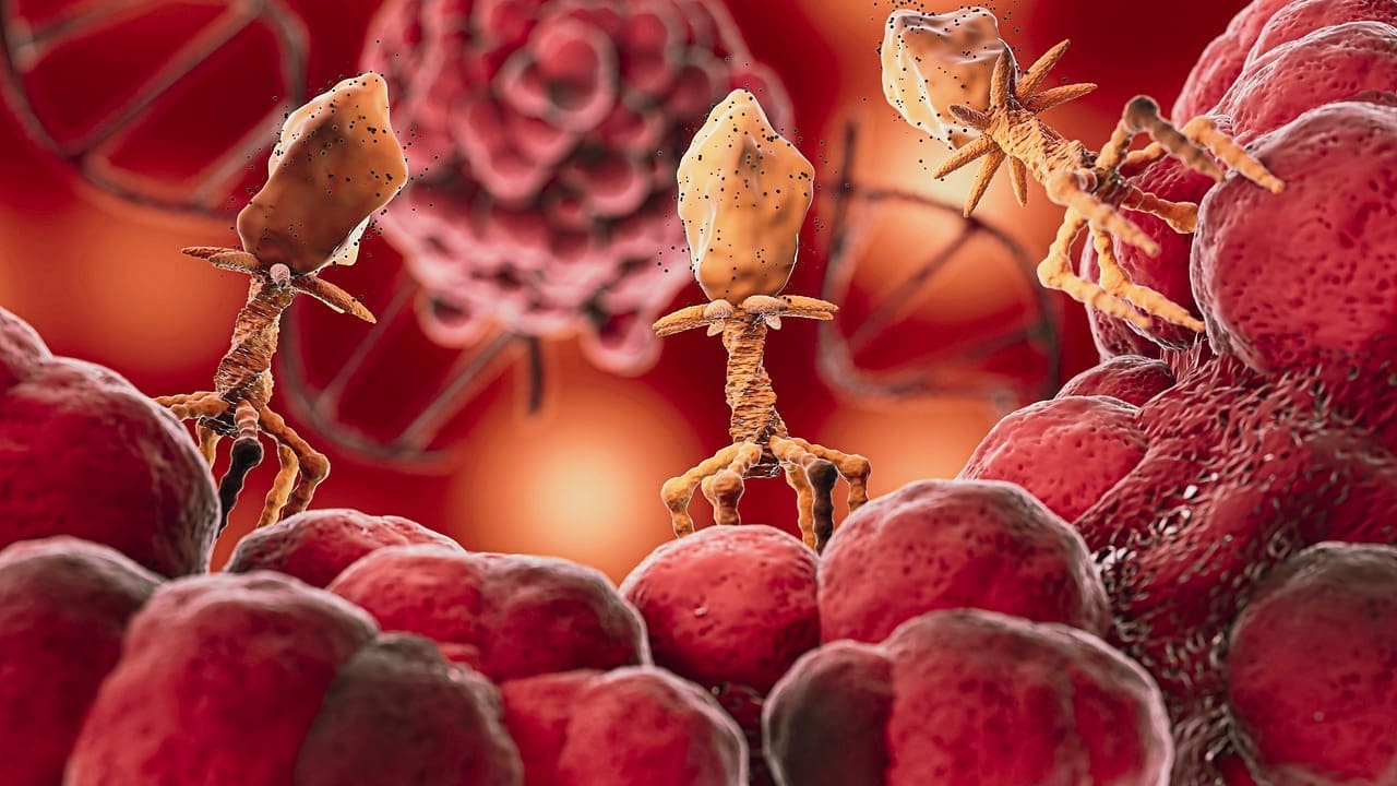 atherosclerosis disease of age evolution