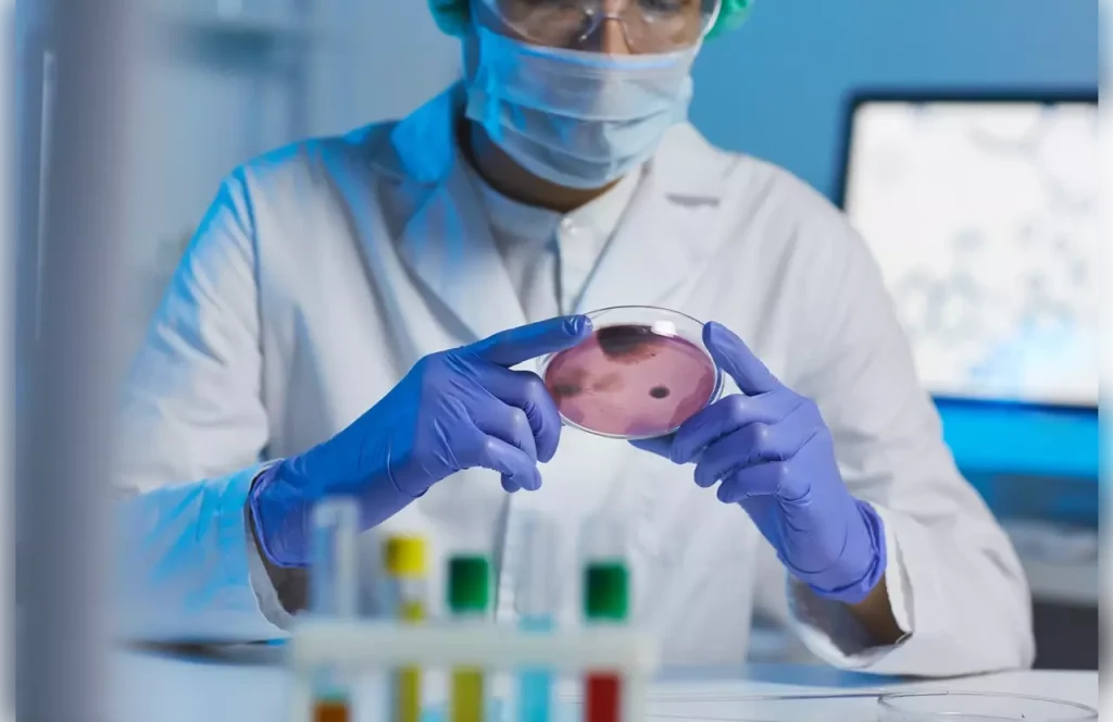 autologous stem cell