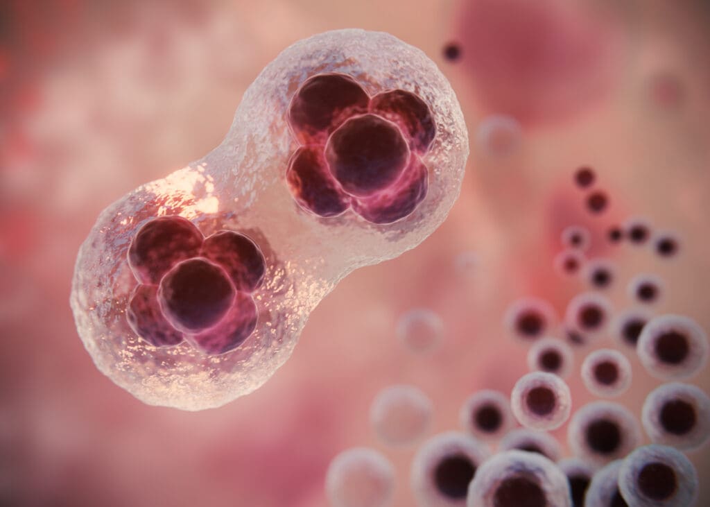 beautiful fertility concept 3d rendering LIV Hospital