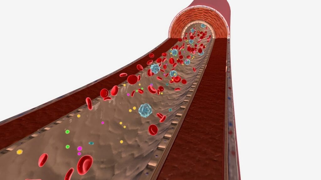 blood cell formation Overview