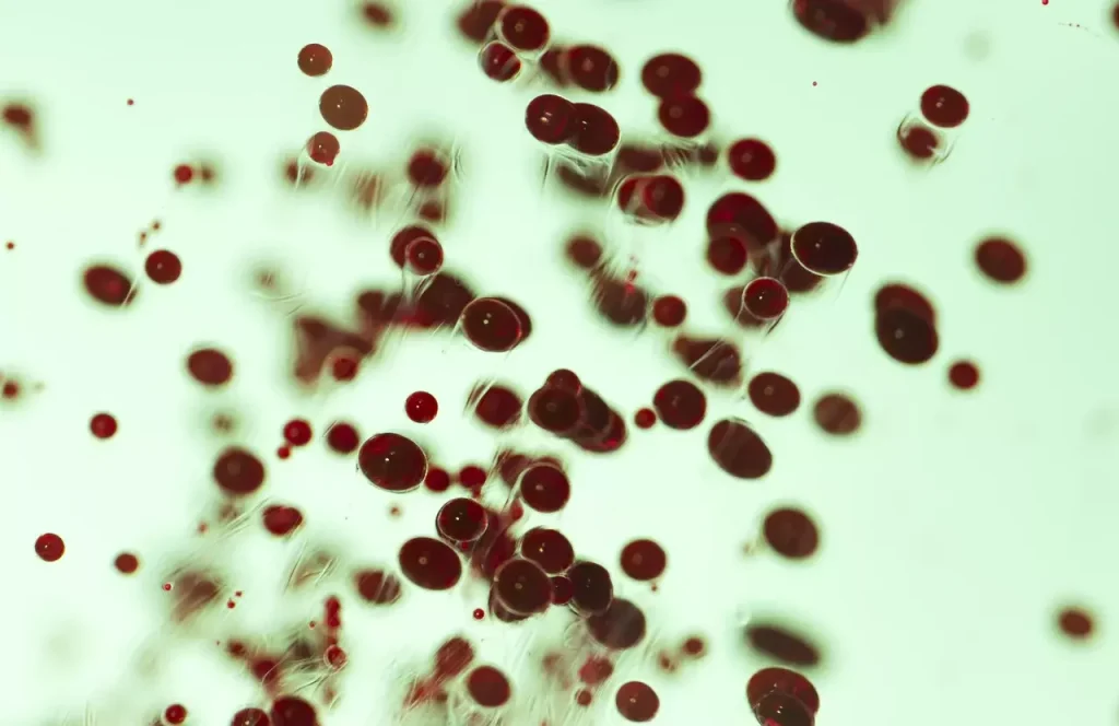 blood marrow disorders