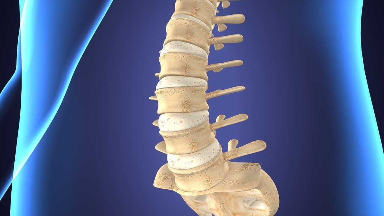 bulging vs herniated disc