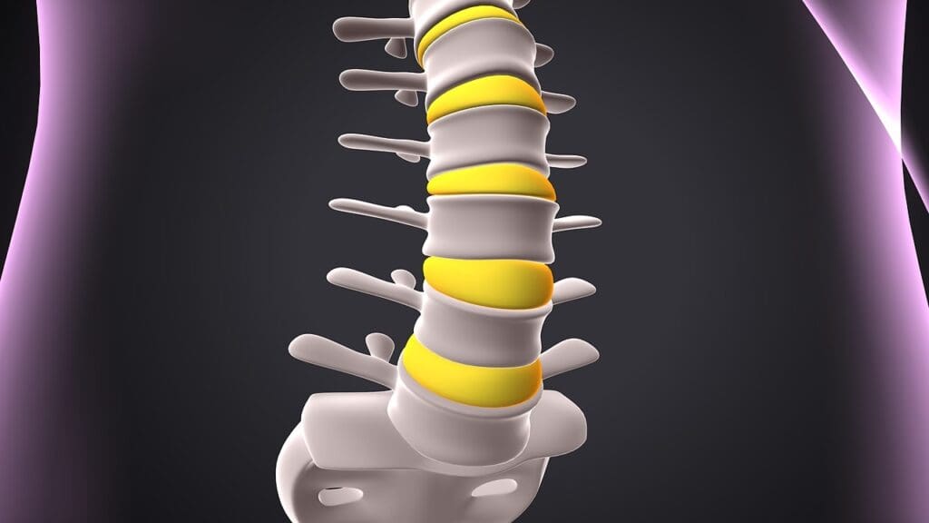 c5 c7 spine