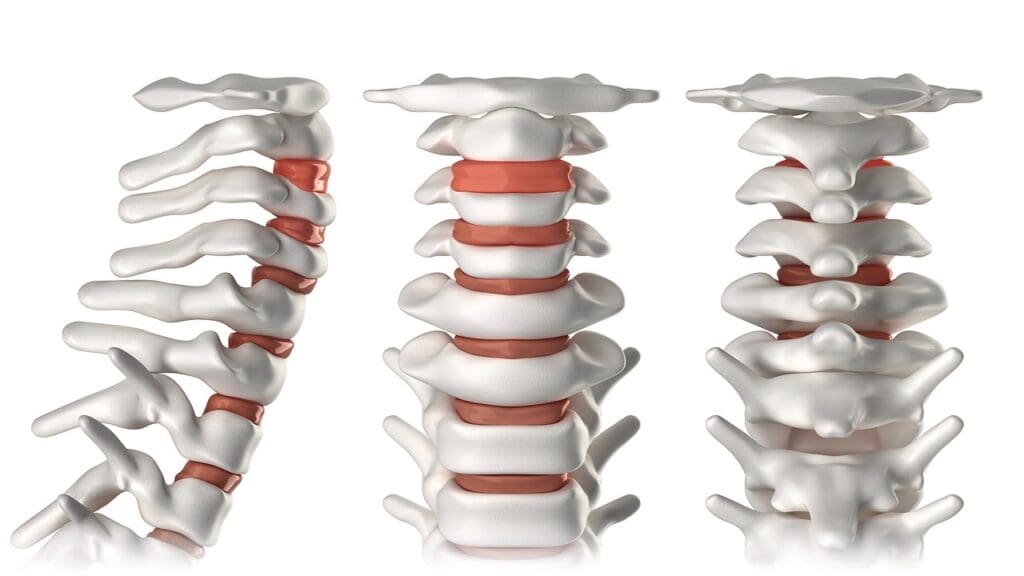 c5 c7 spine