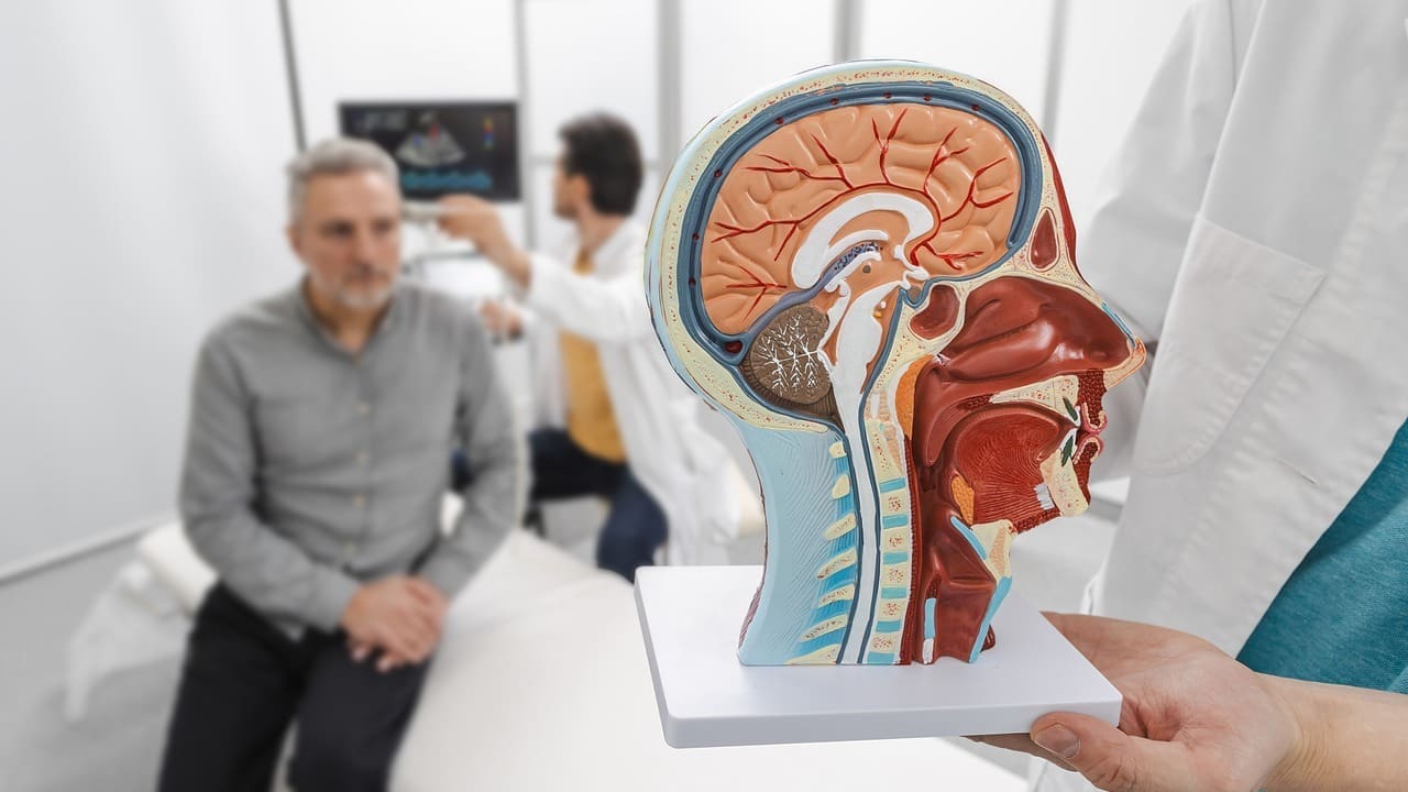 can you have a cyst in your brain