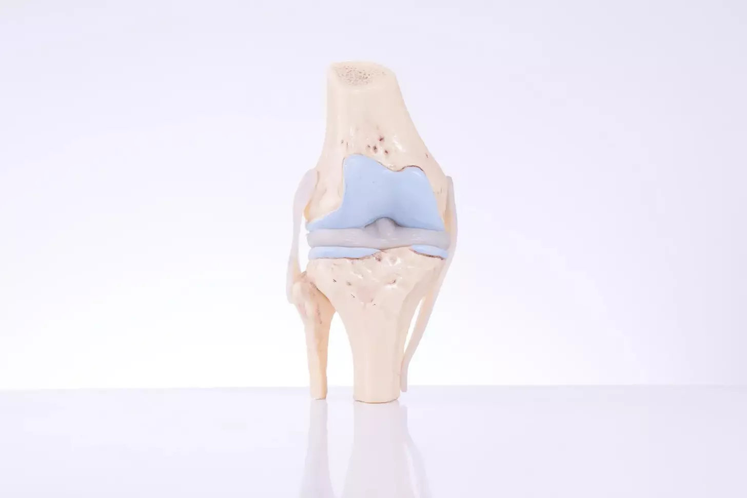 ceramic knee replacement reviews