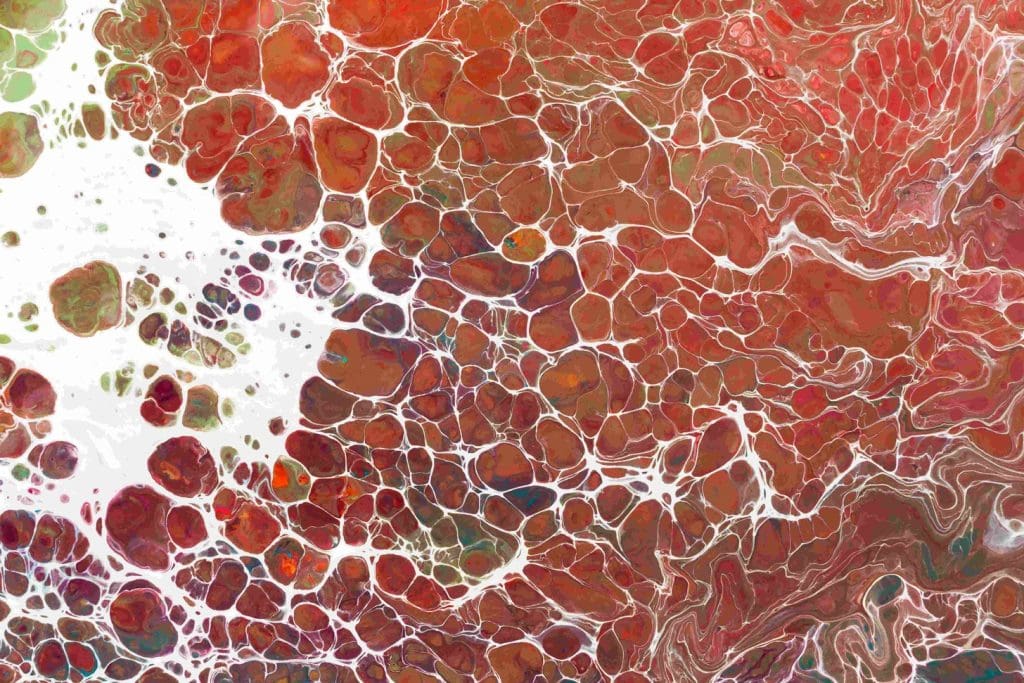 cord blood and cord tissue