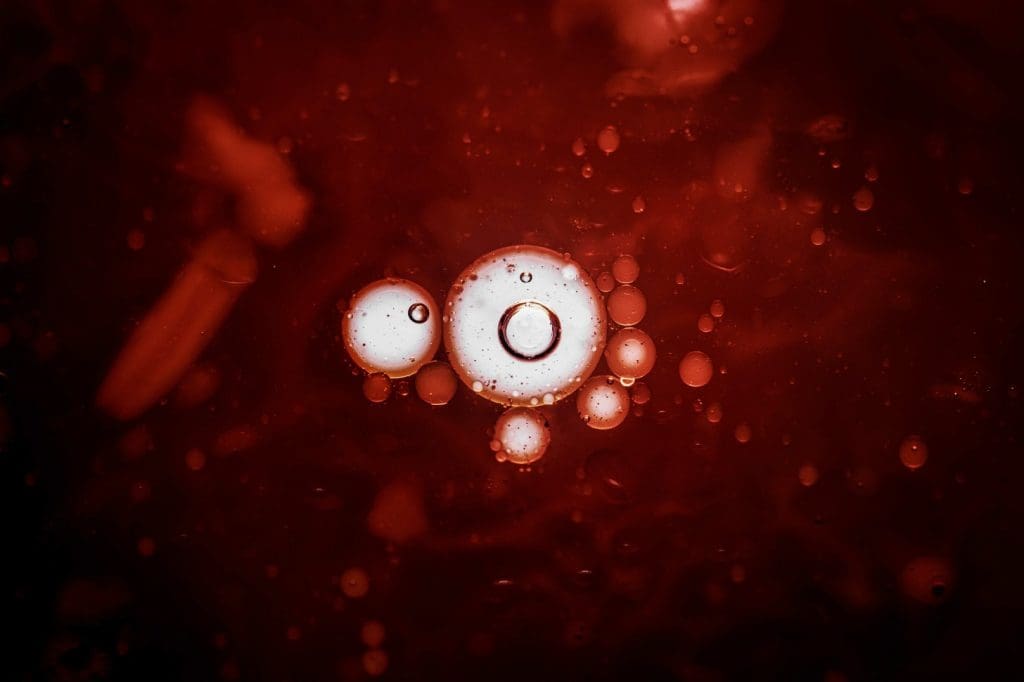 cord blood stem cells