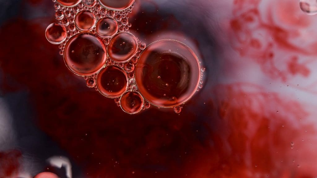 cord blood stem cells