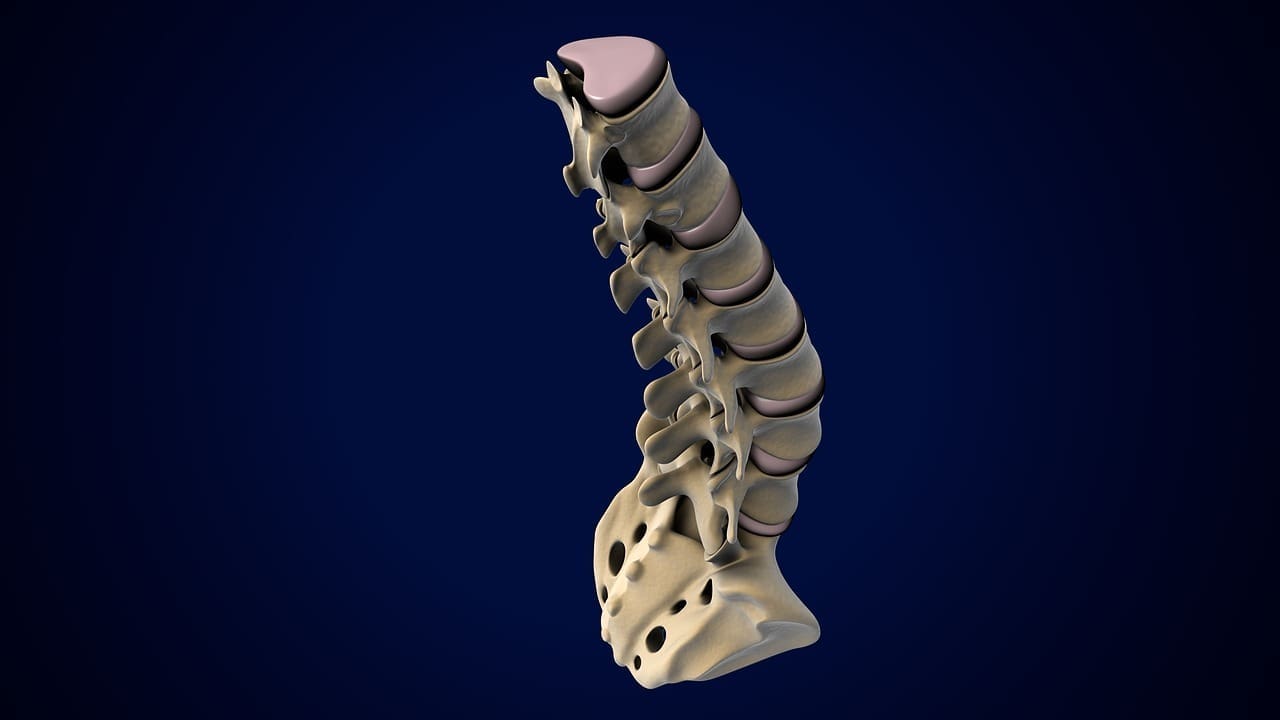 disc bulge vs slipped disc