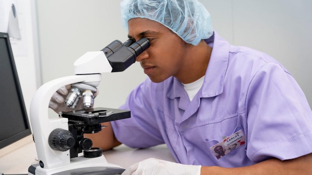 doctor observing under microscope