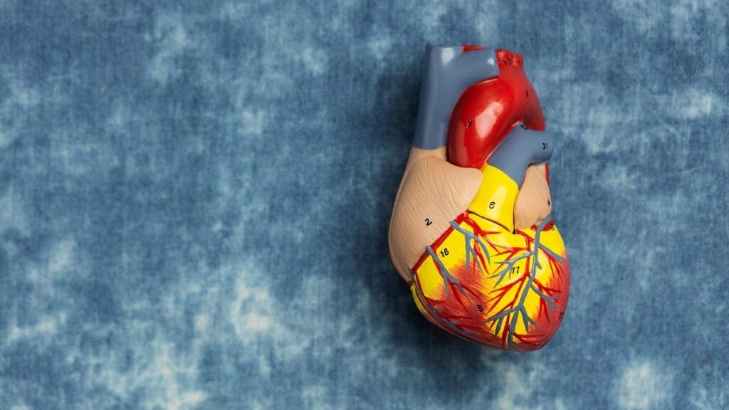 ectasia of the ascending thoracic aorta