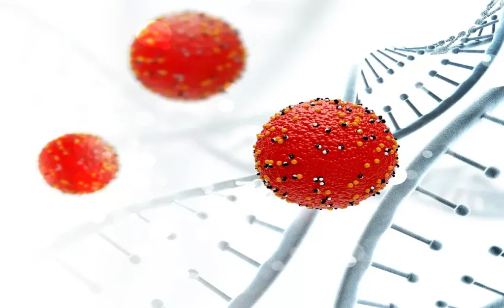 haematopoietic stem cell transplantation hsct