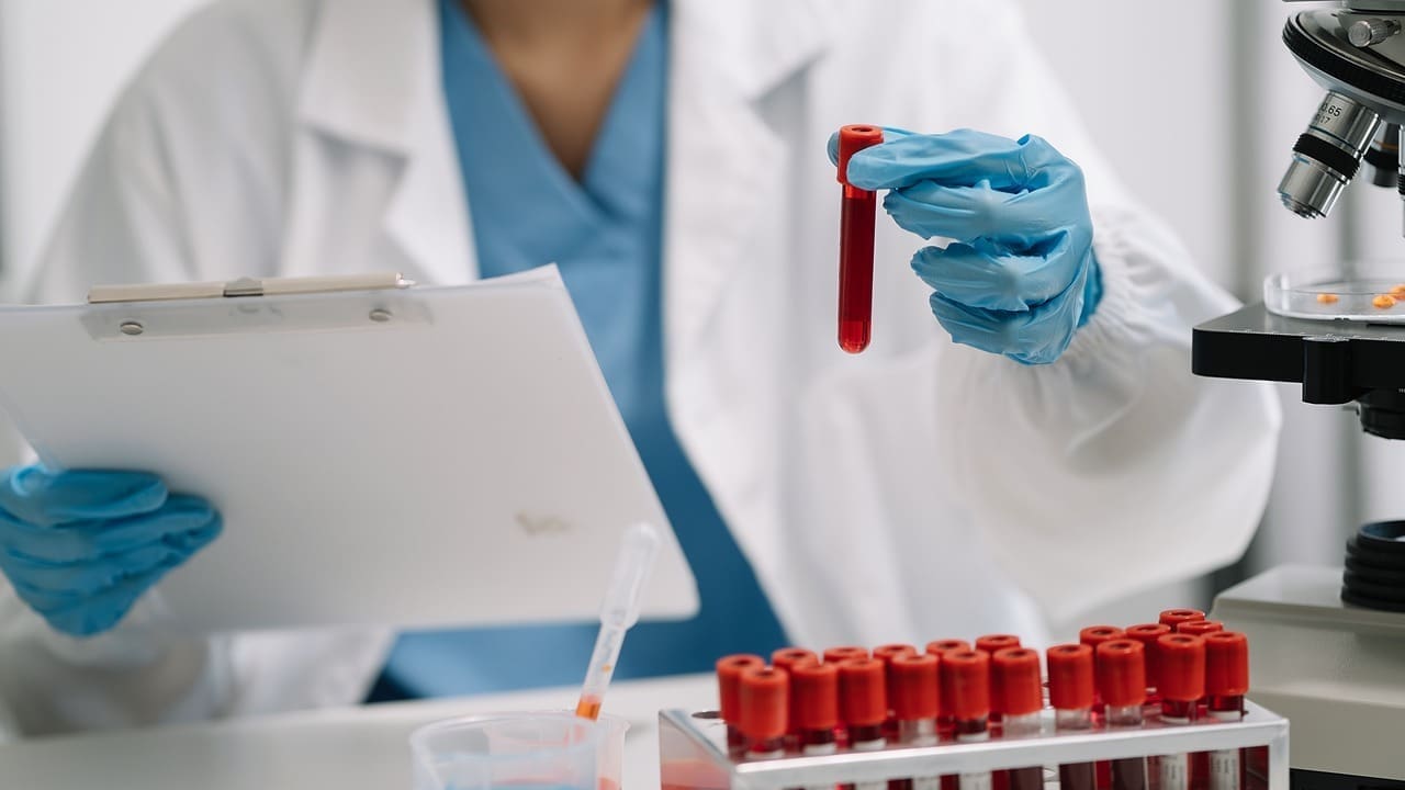 haploidentical donor