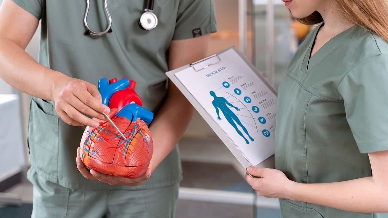 heart and blood vessels