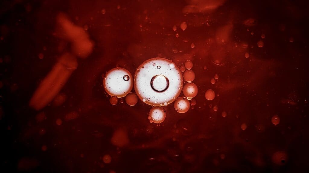 hematopoietic stem cells