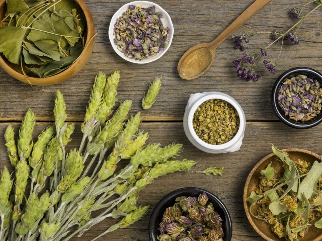7 Natural Cancer Treatments: Herbs, Myths, and What Works