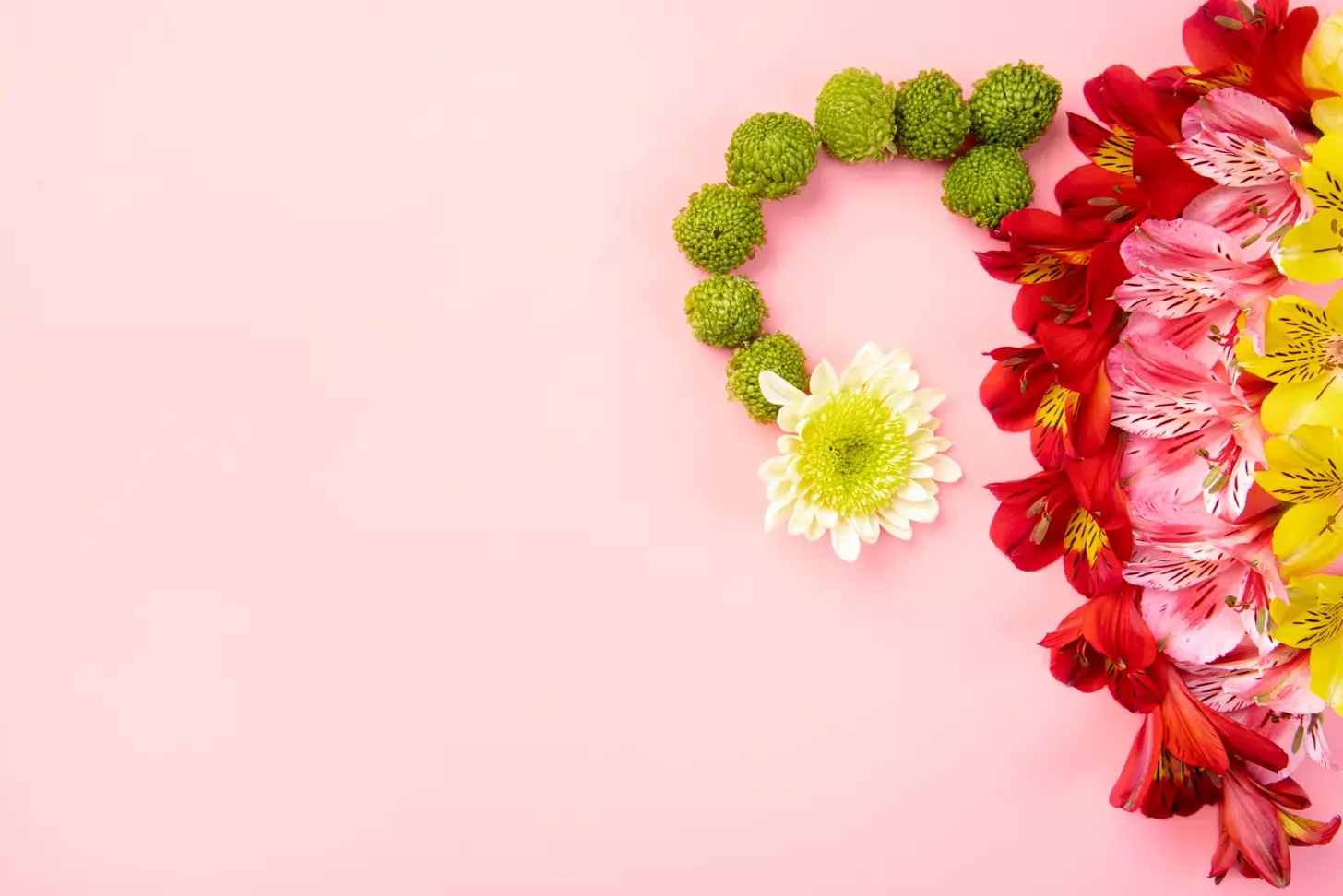 7 Holistic and Natural Treatments for Cervical Cancer: Alternative Remedies to Consider