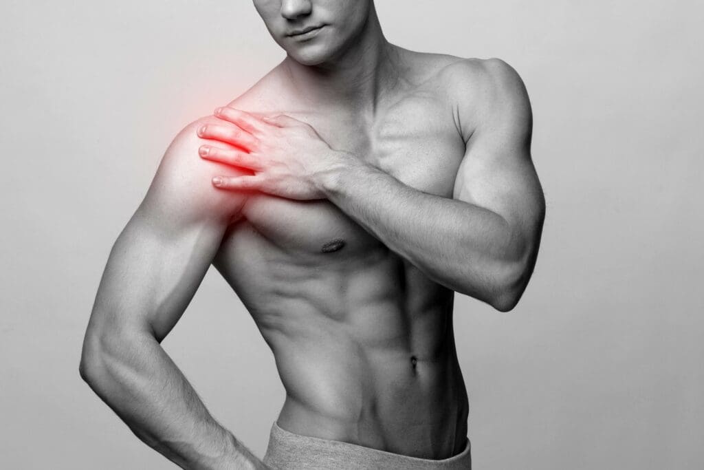 human shoulder joint