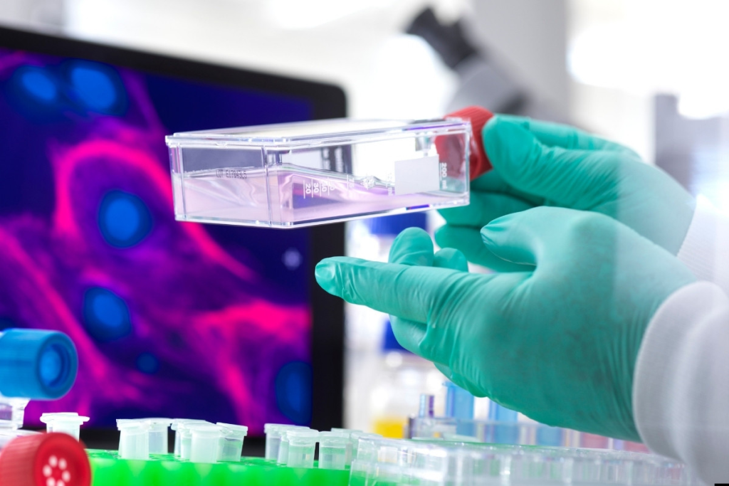 Success Rate & life expectancy after stem cell transplant