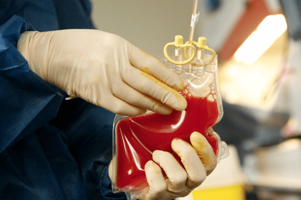 image 1153 LIV Hospital