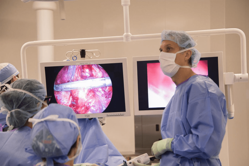 Strategy Guide: What Are the 5 Main pillars of cancer therapy?