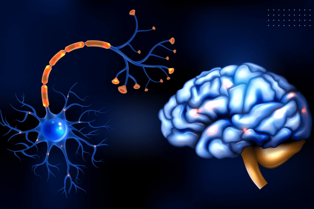 Hypotonic Bladder: Nervous System Control 1 Hypotonic Bladder: Nervous System Control