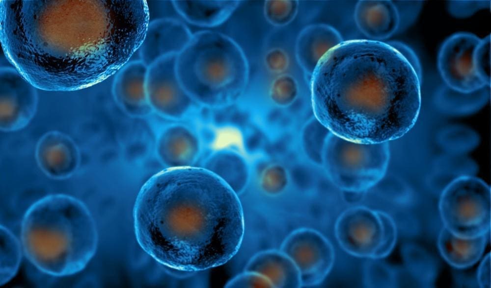 What Is Stem Cell Therapy? Benefits & Uses