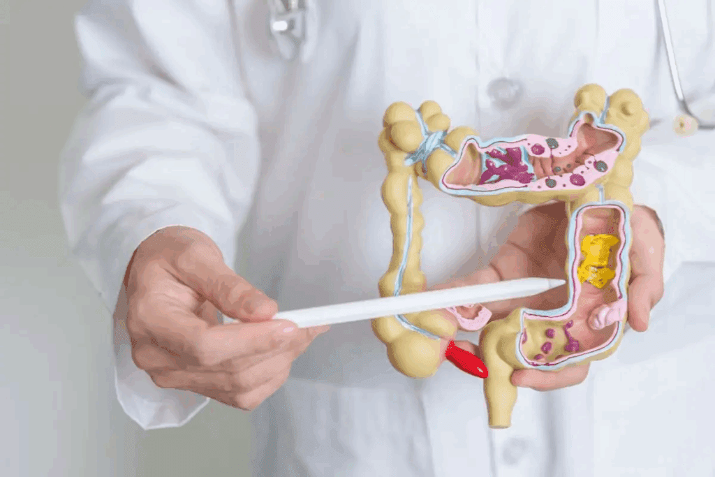 Small Bowel Obstruction: 7 Critical Causes & Dangers