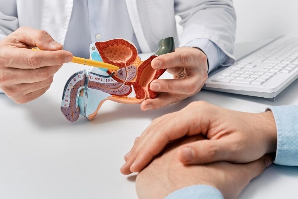 Normal Size Of Prostate at Age 70 Explained 2 Normal Size Of Prostate at Age 70 Explained