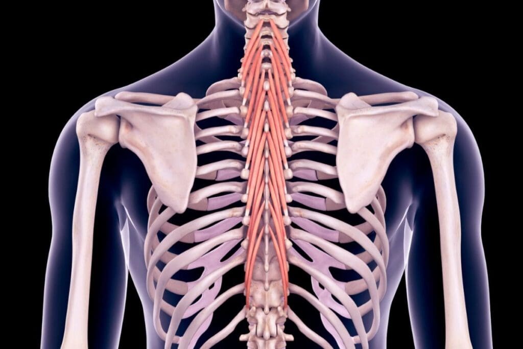 Thoracic Surgery: Amazing Look Inside the Chest