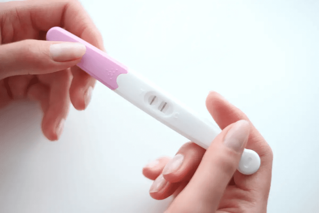 How Does a Pregnancy Test (Urine Test) Work? 1 How Does a Pregnancy Test (Urine Test) Work?