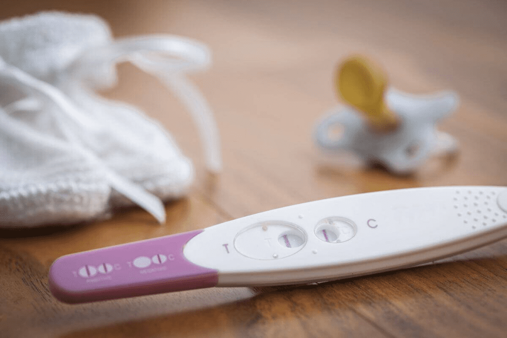 How Does a Pregnancy Test (Urine Test) Work? 3 How Does a Pregnancy Test (Urine Test) Work?