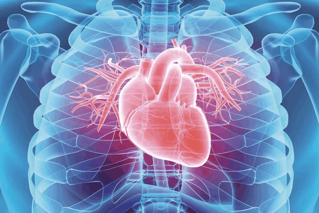 10 Year ASCVD Risk: Top Calculators for 2024