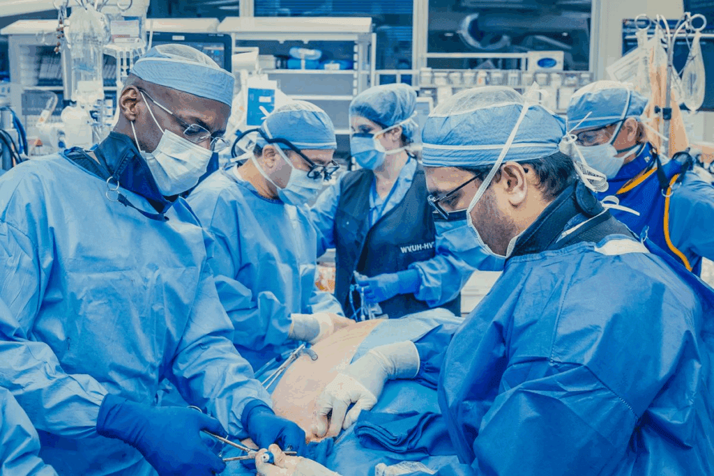 What Does an Artery Do and How It Works