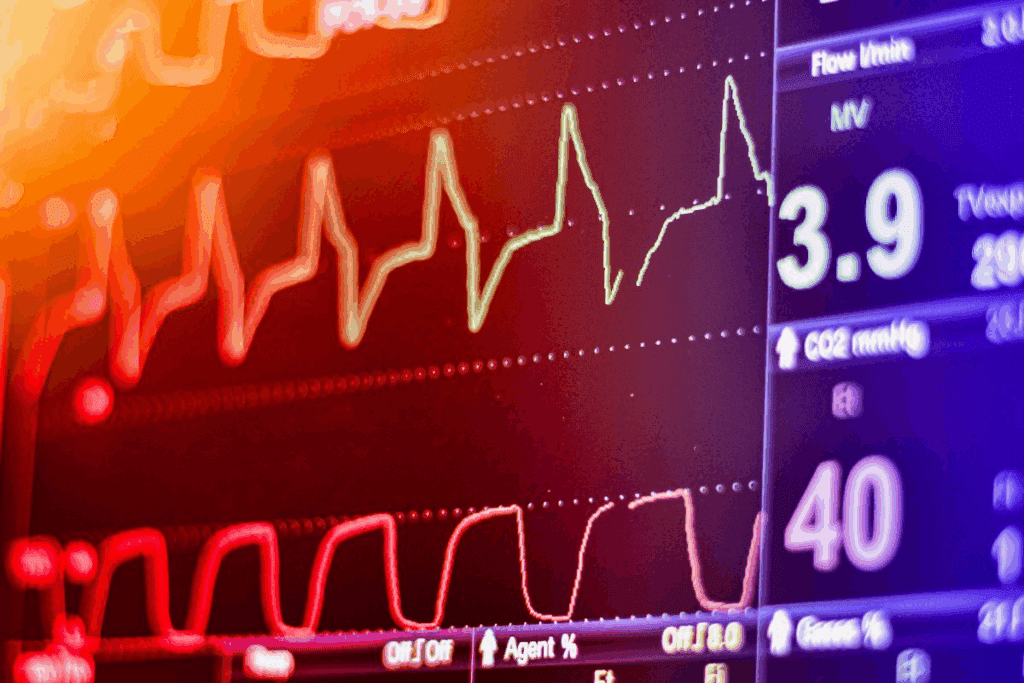 Layers of Artery: 3 Key Wall Structures Explained 3 Layers of Artery: 3 Key Wall Structures Explained