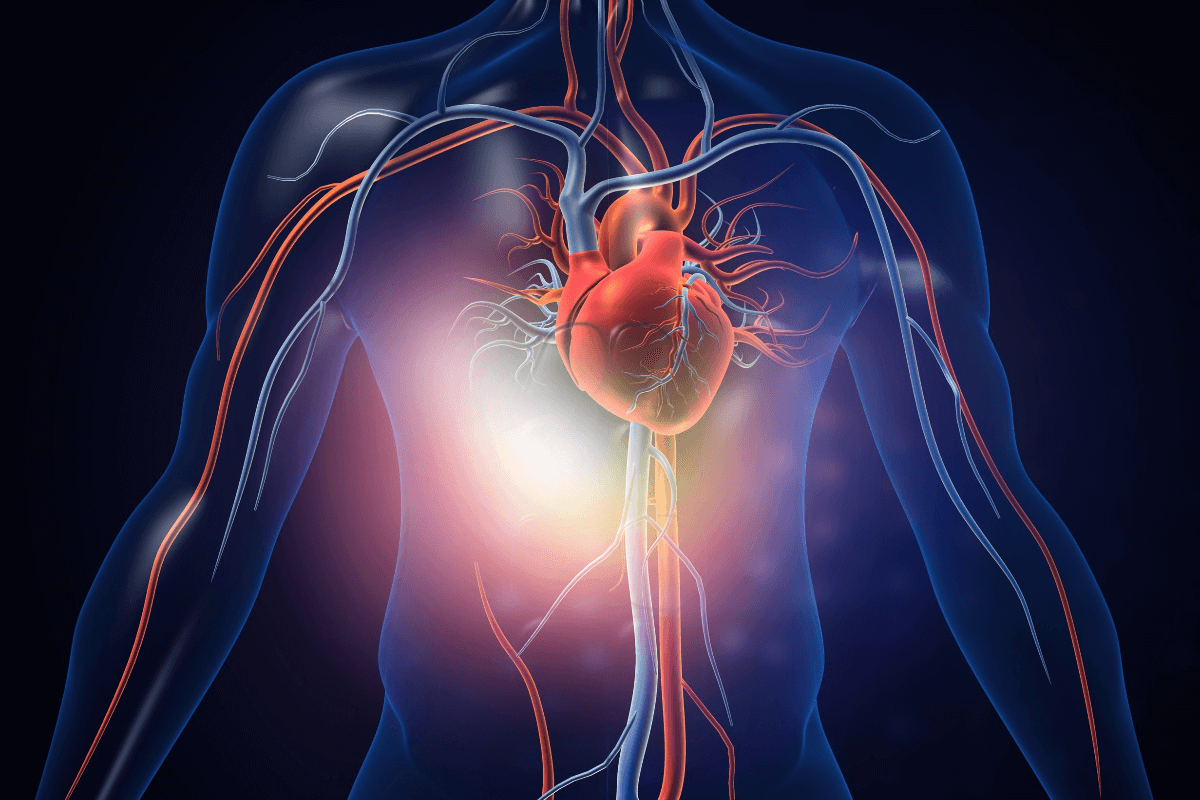 Blood Thinner Side Effects Explained